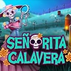 Bingo Señorita Calavera game thumbnail